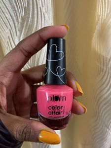 Plum Color Affair Nail Polish