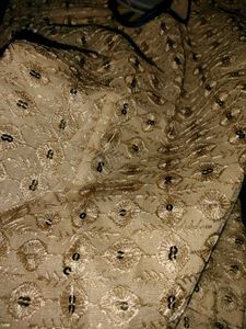 Golden Colour Net fabric Top