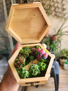 Wooden Box With Miniature World (Handmade)
