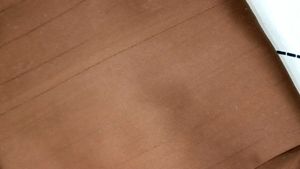 Coat Pant  colour Brown