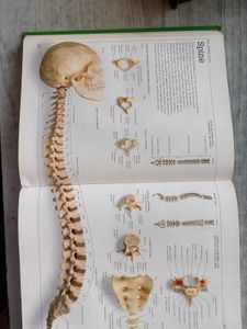 First Reference For Young Readers