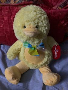 Baby Duck 💛