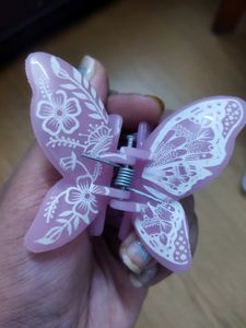 Butterfly Clature