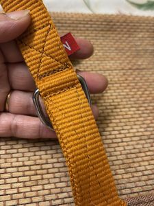 Dog Collar