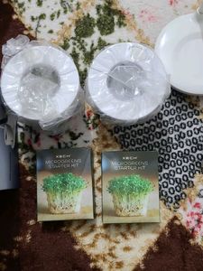 Modern LED Desk Lamp Grow Station