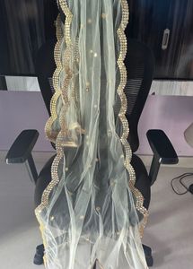 Elegant Net Duppatta