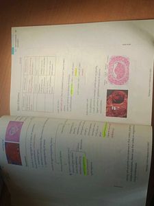 MARROW ORIGINAL NOTES -PATHOLOGY