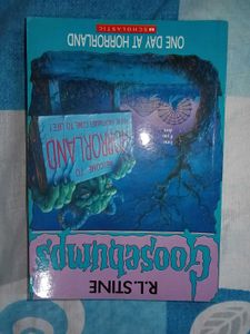 Camp Cold Lake And Horrorland Goosebumps Book