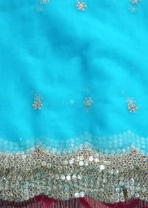 Net Sarees &amp; Blaus