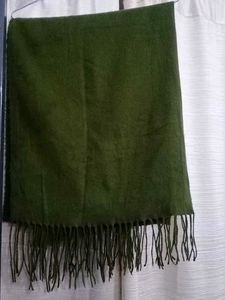 Olive woollen Shawl😍