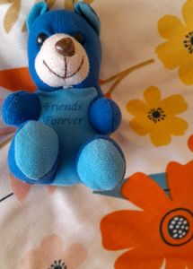 Free Small Teddy With Kids Purse