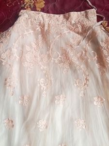 Beautiful Crop Top And Lehenga For Women