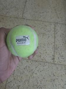Puma Ball
