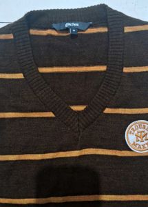 striped brown vest!