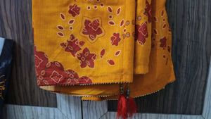 Elegant Traditional Saree