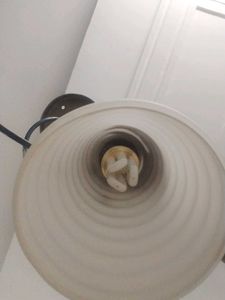 Hanging Light