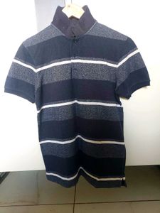Striped Polo Shirt