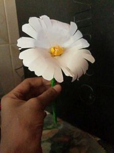 Handmade Paper Daisy(Colour Options -white/Yellow