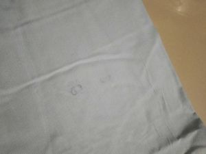 Formal Shirt For Women - Light Blue