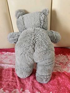 Cute Plush Teddy Bear Set