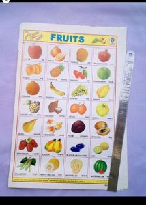 School Project Sticker