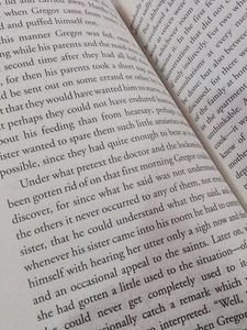 The Metamorphosis by Franz Kafka