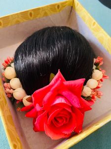 Hair Bun