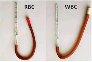 Rbc And Wbc Pipettes
