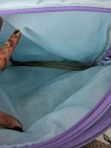 Kids School Bags Combo Of 3
