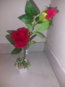 2 Piece- Artificial ROSE 🌹 PLANTS