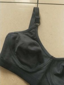 36C Comfortable Everyday Bra(LAJJA)