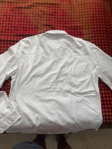 Men&#39;s Button Down Shirt