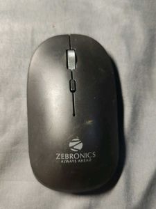 Zebronics (Companion 110) Type C Rechargeable