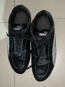 PUMA ORIGINAL