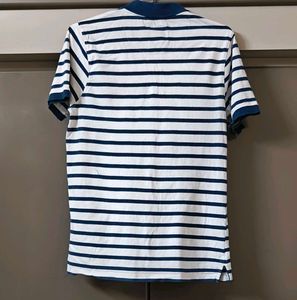 Roadster Striped T-Shirt