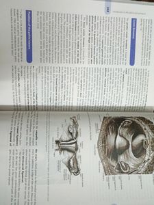 Cunningham Manual Of Practical Anatomy