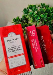 Combo Of Dot & key Strobe Cream ✨ & Lip Balm ♥️