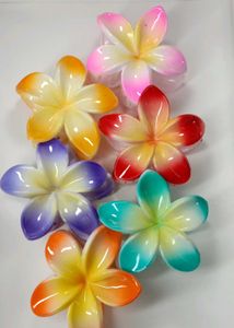 Colorful Flower Hair Clips
