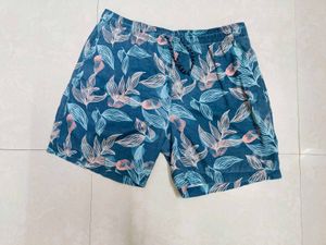 Men Floral Print Regular Shorts