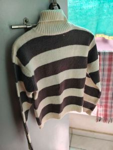 Turtleneck Sweater
