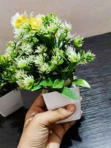 Artificial Plant Decor combo of 5 pots