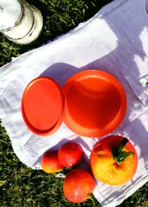 Tupperware Girls Day Out Lunch Set