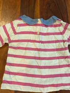 Collared Cotton T Shirt