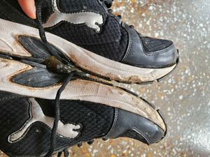 Original Puma Sports Shoes For Girls