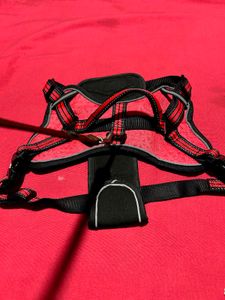 Dog Harness with Leash – Size L
