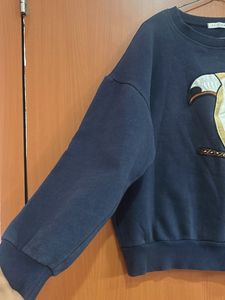 Toucan Embroidered Sweatshirt fit upto xxl at just