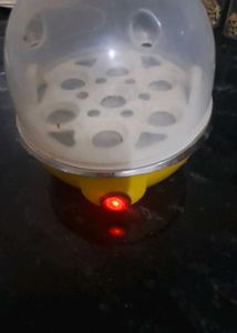 Proper Working Egg Boiler