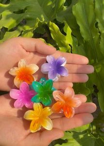 Flower Hair Clips