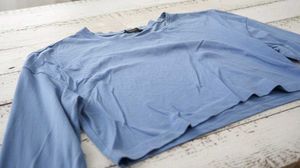 DressBerry Blue Long Sleeve Crop Top