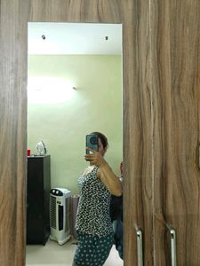 Animal Print Back Design Sleeves Top